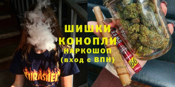 прущие грибы Балабаново