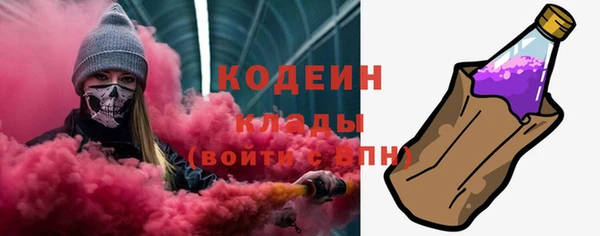 прущие грибы Балабаново