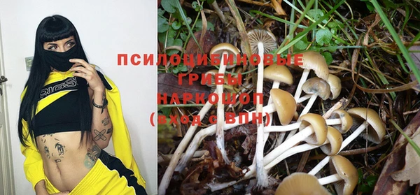 ГАЛЛЮЦИНОГЕННЫЕ ГРИБЫ Баксан