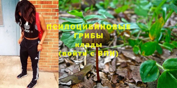 ПСИЛОЦИБИНОВЫЕ ГРИБЫ Балахна
