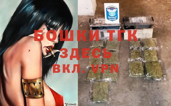 прущие грибы Балабаново