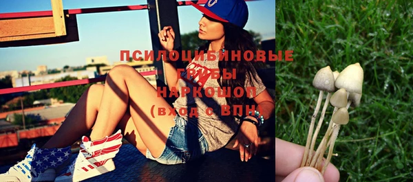 ПСИЛОЦИБИНОВЫЕ ГРИБЫ Балахна