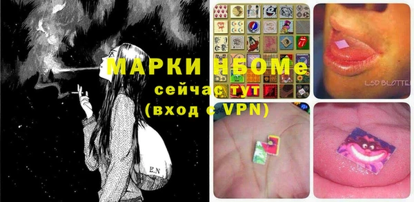 прущие грибы Балабаново