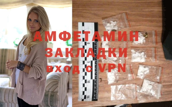 прущие грибы Балабаново