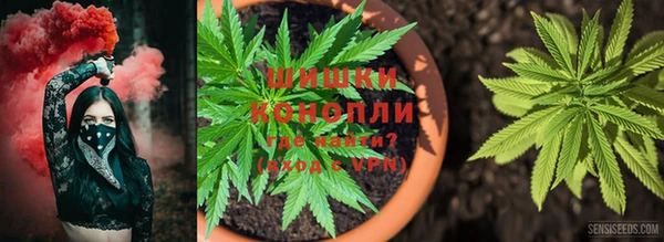 ГАЛЛЮЦИНОГЕННЫЕ ГРИБЫ Баксан